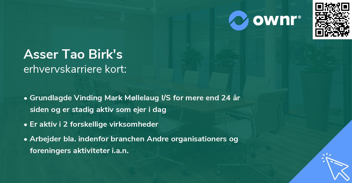 Asser Tao Birk's erhvervskarriere kort