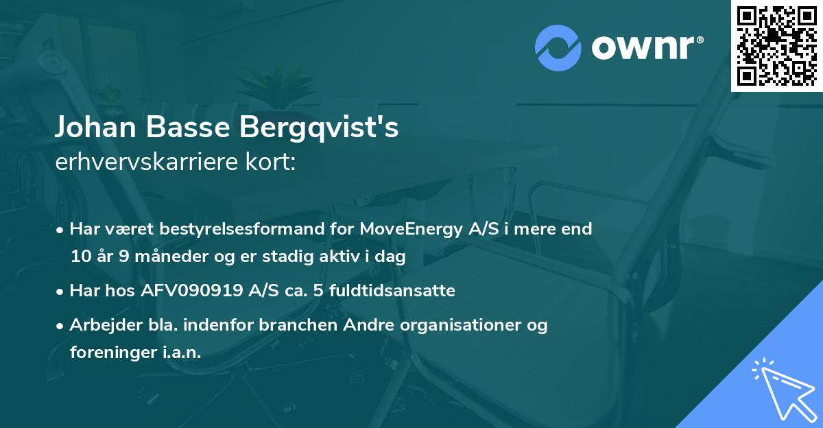 Johan Basse Bergqvist's erhvervskarriere kort