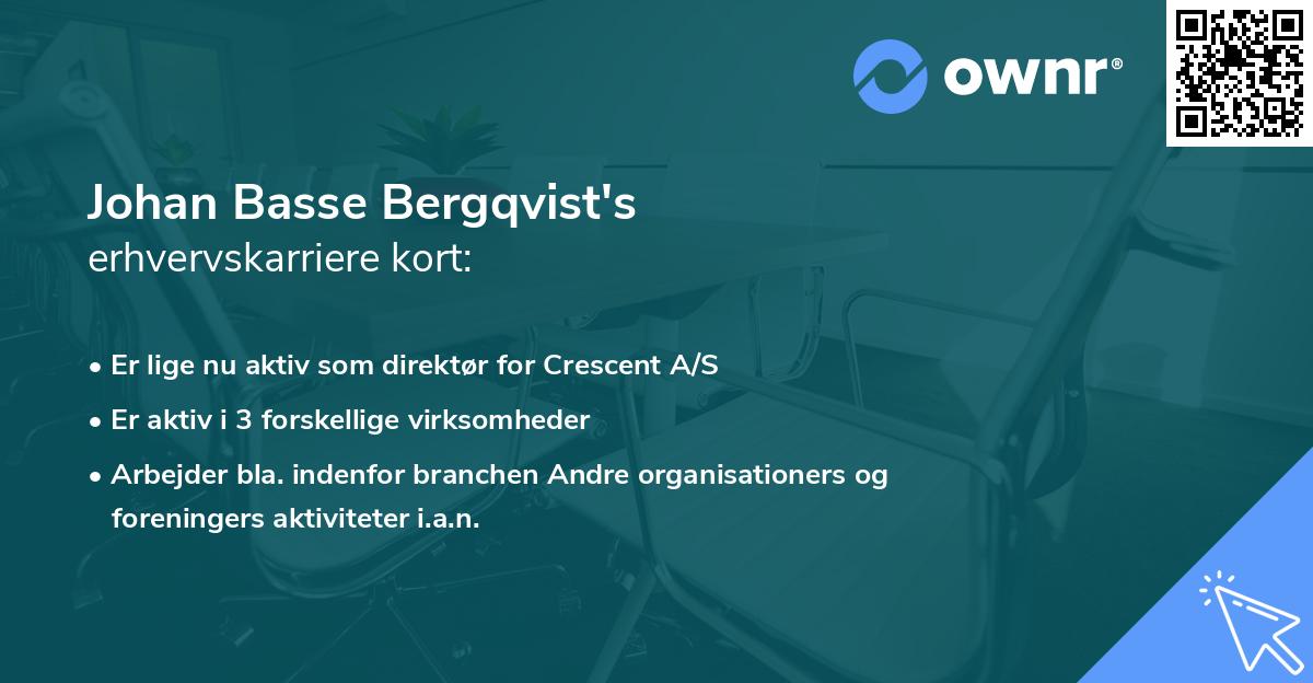 Johan Basse Bergqvist's erhvervskarriere kort