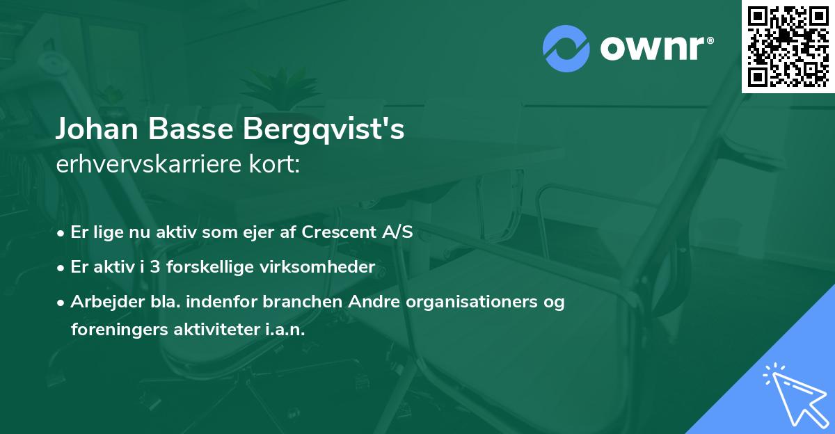 Johan Basse Bergqvist's erhvervskarriere kort