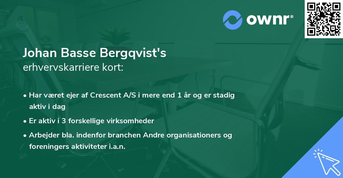 Johan Basse Bergqvist's erhvervskarriere kort