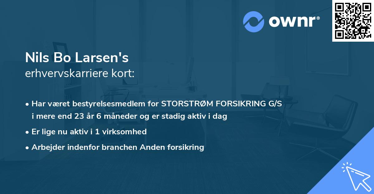 Nils Bo Larsen's erhvervskarriere kort