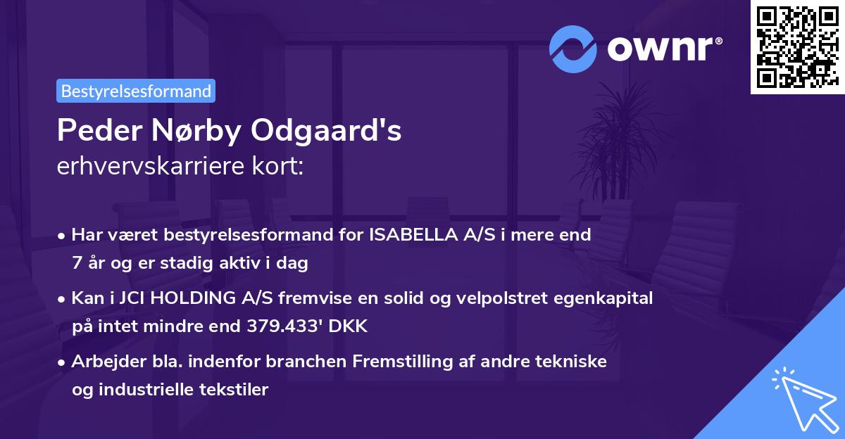 Peder Nørby Odgaard's erhvervskarriere kort