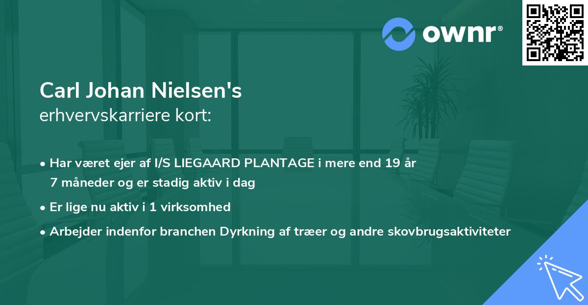 Carl Johan Nielsen's erhvervskarriere kort