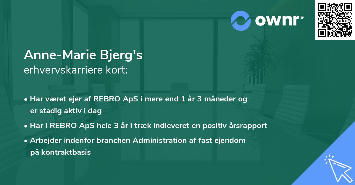 Anne-Marie Bjerg's erhvervskarriere kort
