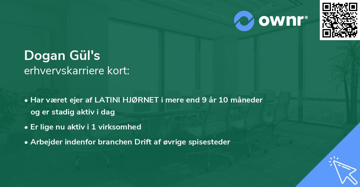 Dogan Gül's erhvervskarriere kort