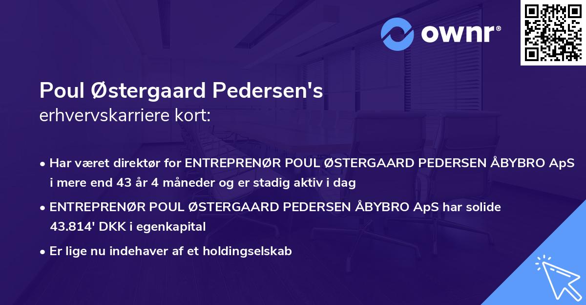 Poul Østergaard Pedersen's erhvervskarriere kort