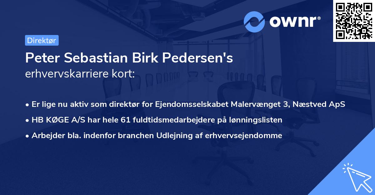 Peter Sebastian Birk Pedersen's erhvervskarriere kort