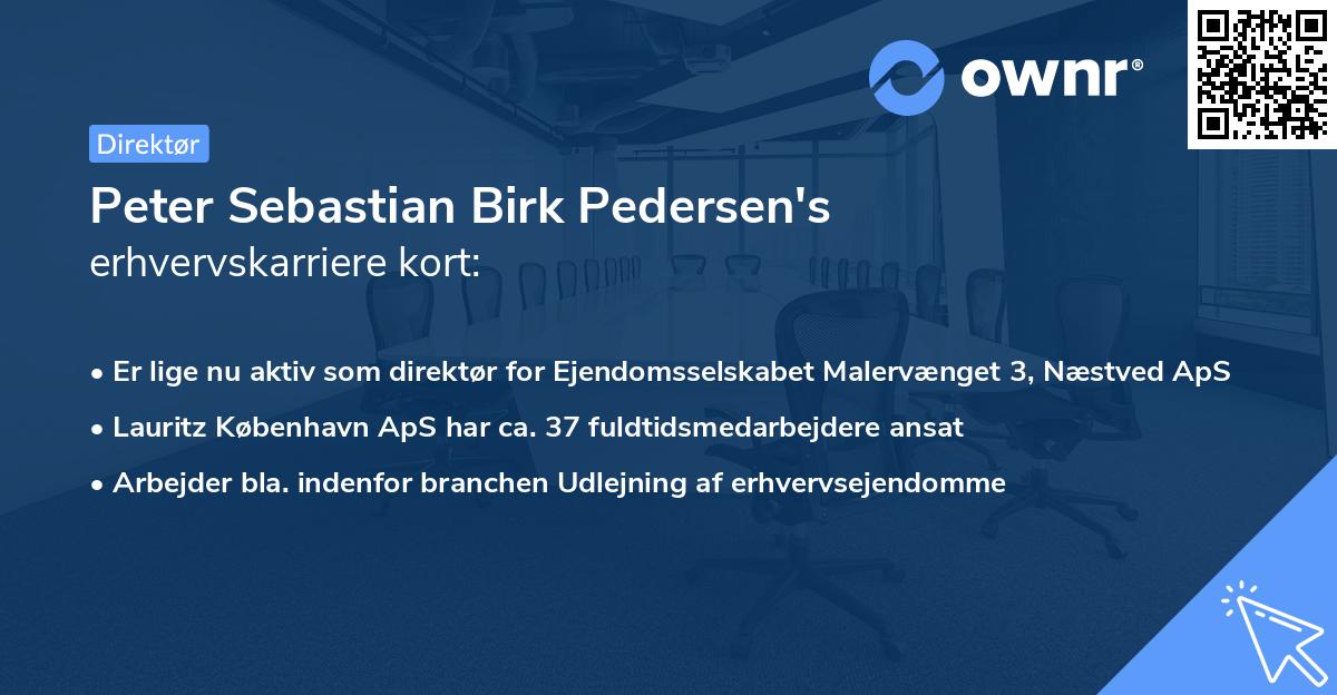 Peter Sebastian Birk Pedersen's erhvervskarriere kort