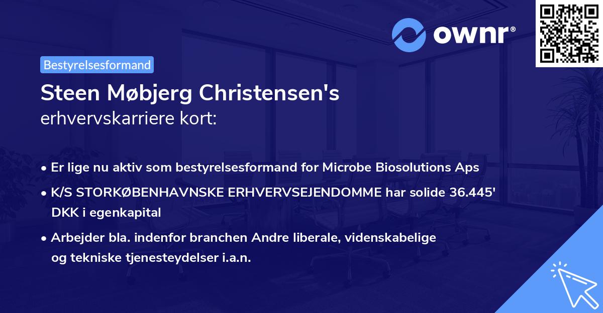 Steen Møbjerg Christensen's erhvervskarriere kort
