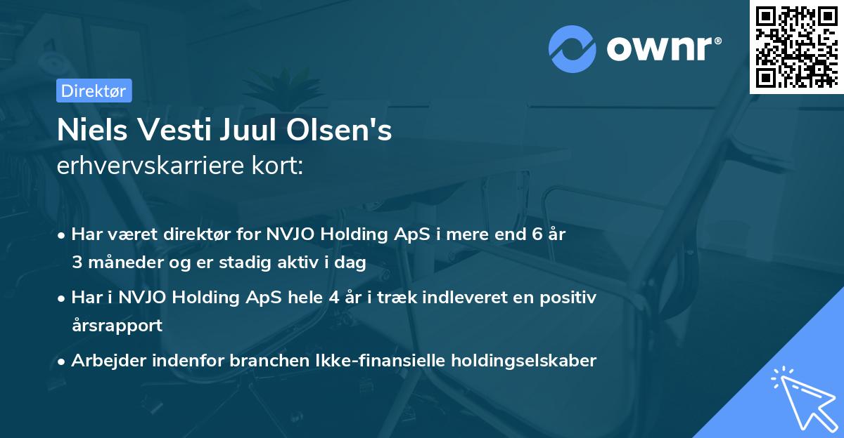 Niels Vesti Juul Olsen's erhvervskarriere kort