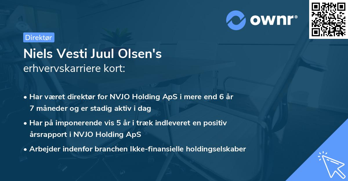 Niels Vesti Juul Olsen's erhvervskarriere kort