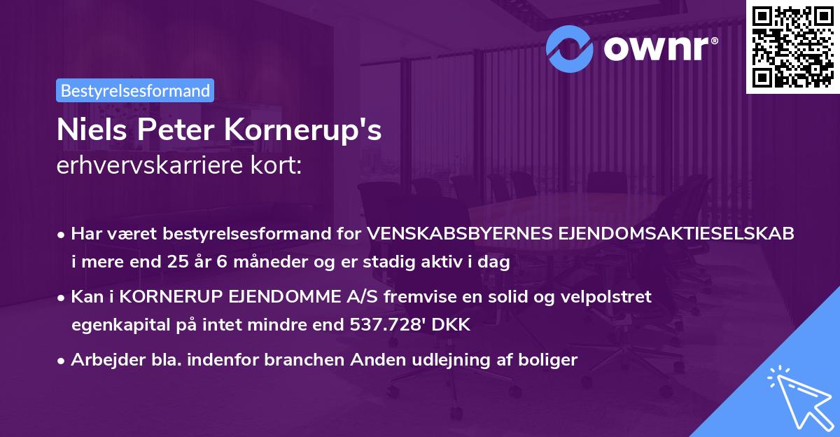 Niels Peter Kornerup's erhvervskarriere kort