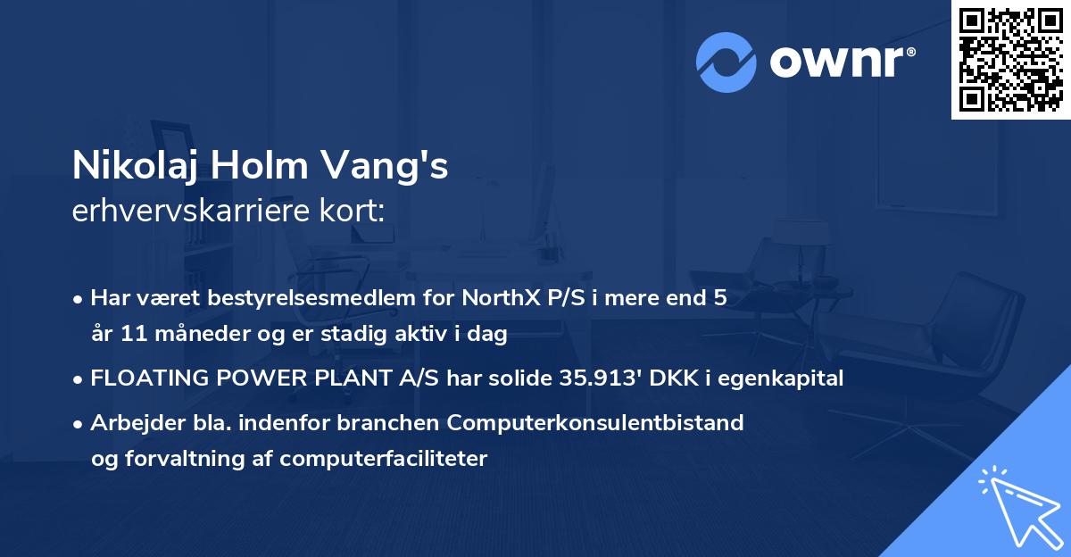 Nikolaj Holm Vang's erhvervskarriere kort