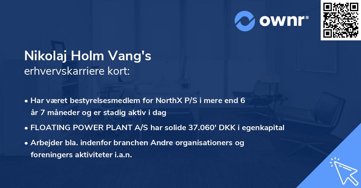 Nikolaj Holm Vang's erhvervskarriere kort