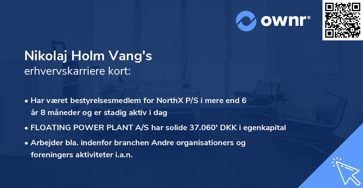 Nikolaj Holm Vang's erhvervskarriere kort