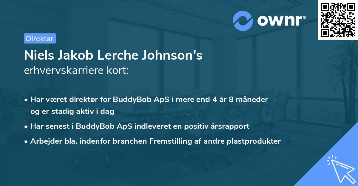 Niels Jakob Lerche Johnson's erhvervskarriere kort