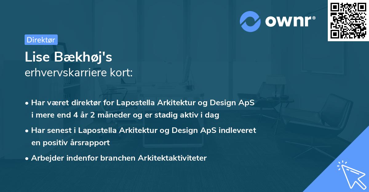 Lise Bækhøj's erhvervskarriere kort
