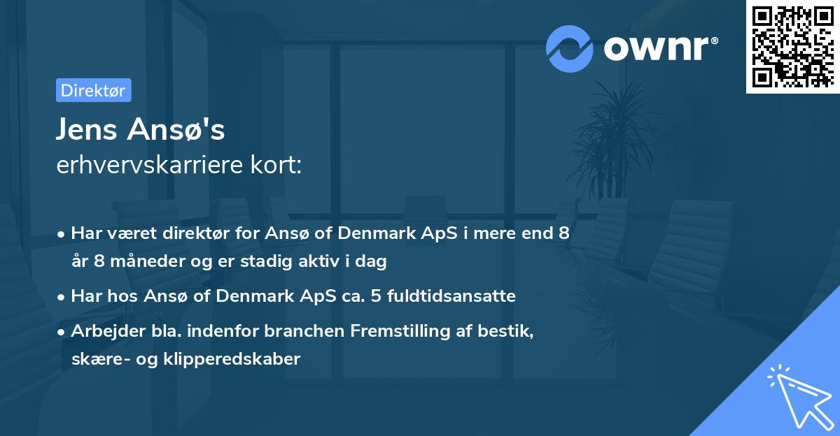 Jens Ansø's erhvervskarriere kort