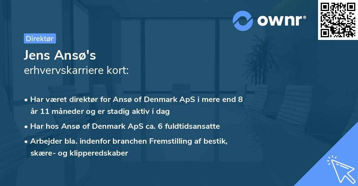 Jens Ansø's erhvervskarriere kort