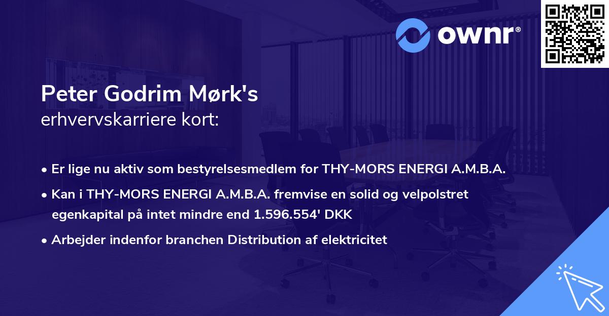 Peter Godrim Mørk's erhvervskarriere kort