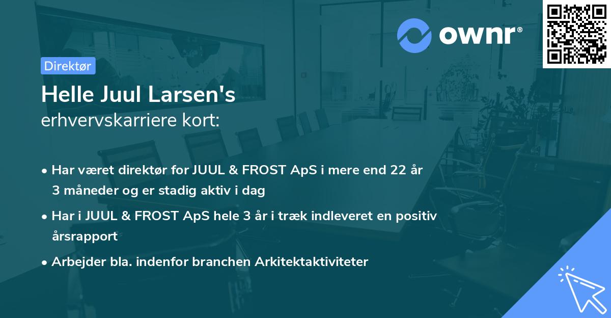 Helle Juul Larsen's erhvervskarriere kort
