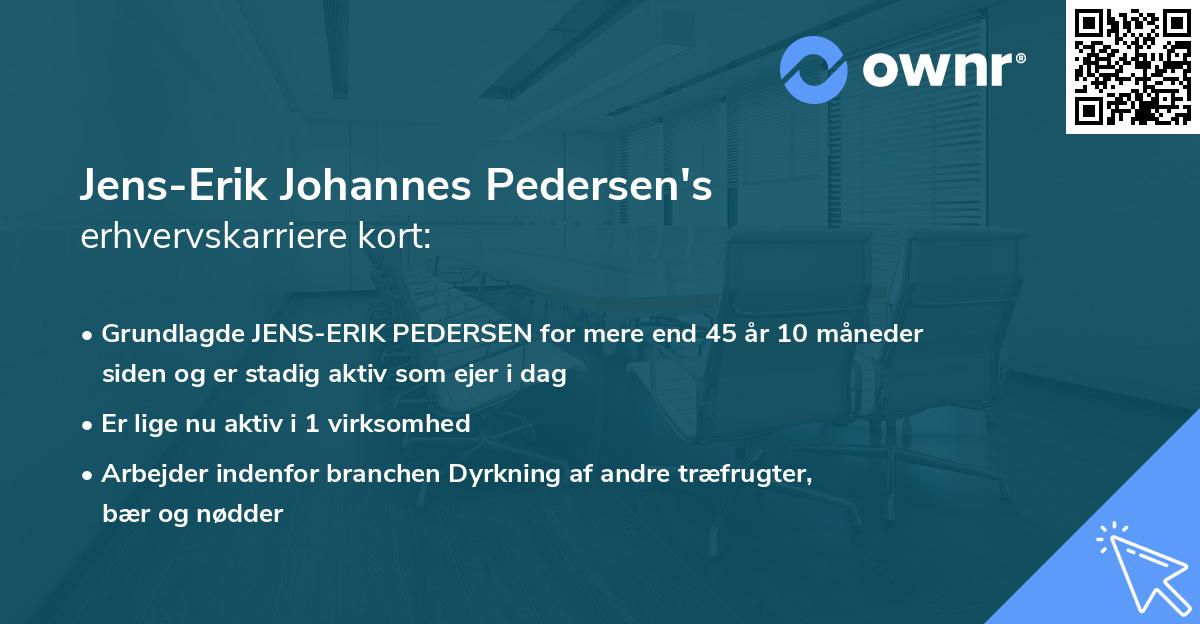 Jens-Erik Johannes Pedersen's erhvervskarriere kort