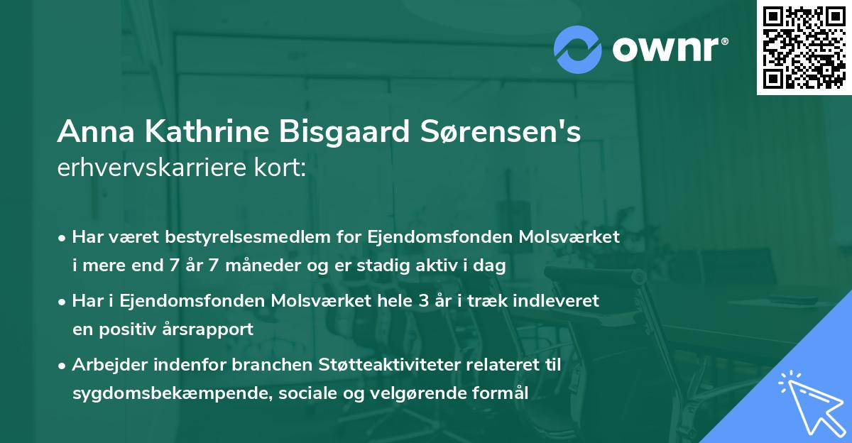 Anna Kathrine Bisgaard Sørensen's erhvervskarriere kort