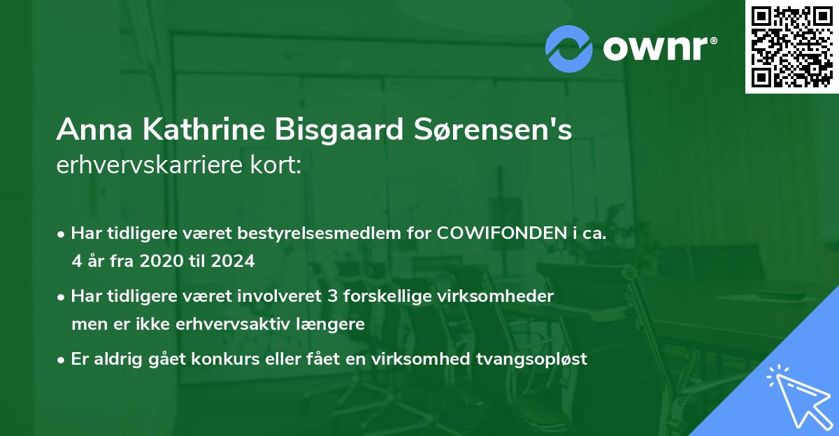 Anna Kathrine Bisgaard Sørensen's erhvervskarriere kort