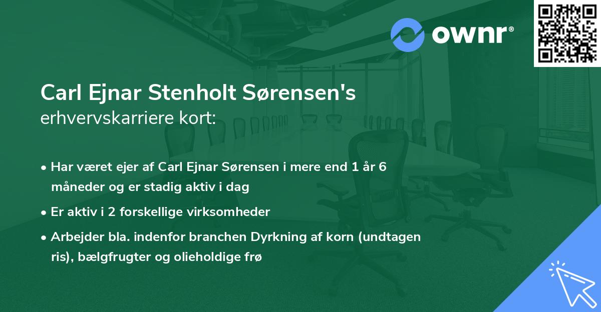 Carl Ejnar Stenholt Sørensen's erhvervskarriere kort