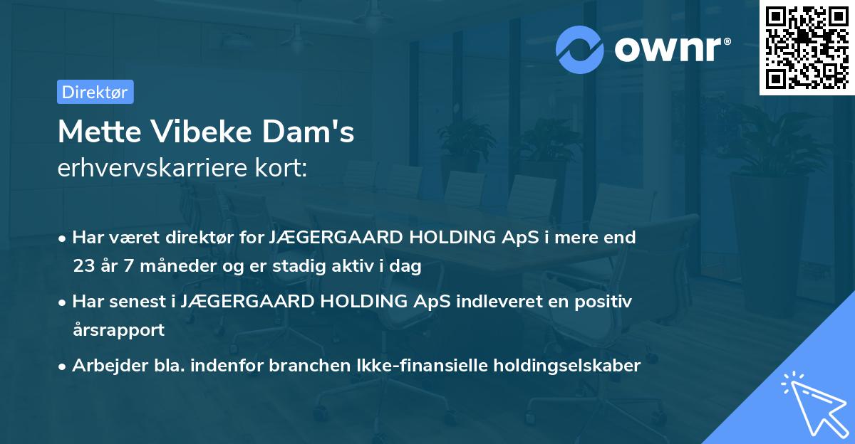 Mette Vibeke Dam's erhvervskarriere kort