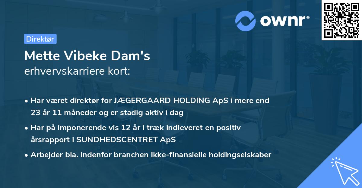 Mette Vibeke Dam's erhvervskarriere kort