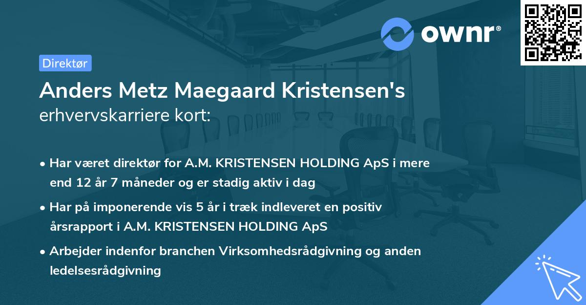 Anders Metz Maegaard Kristensen's erhvervskarriere kort