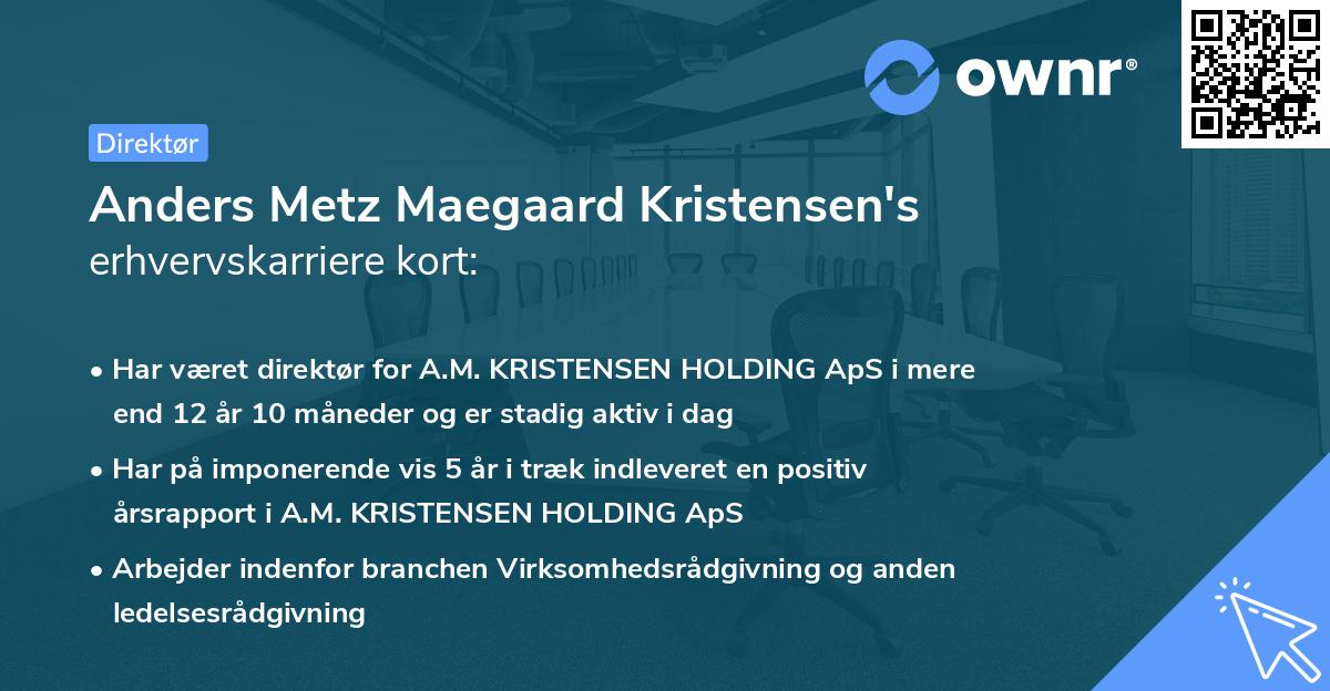 Anders Metz Maegaard Kristensen's erhvervskarriere kort