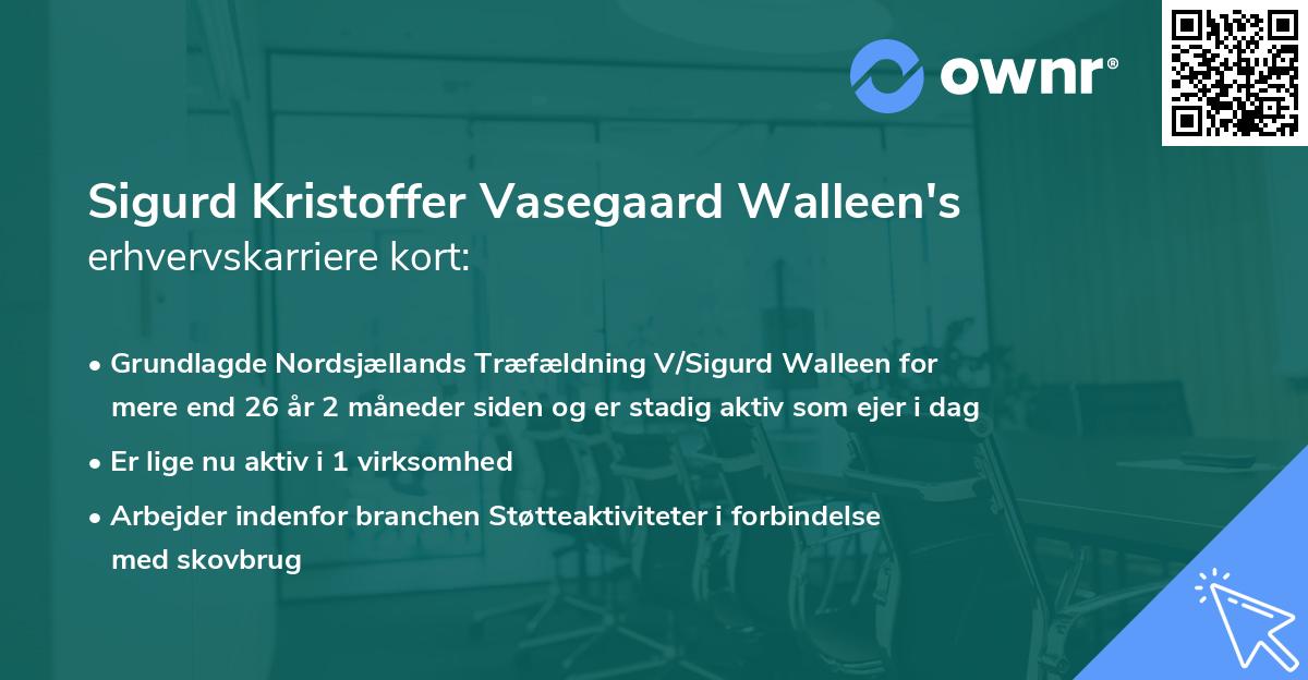 Sigurd Kristoffer Vasegaard Walleen's erhvervskarriere kort