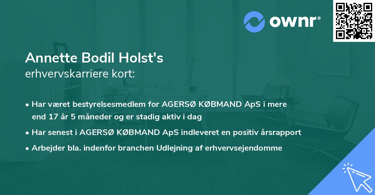 Annette Bodil Holst's erhvervskarriere kort