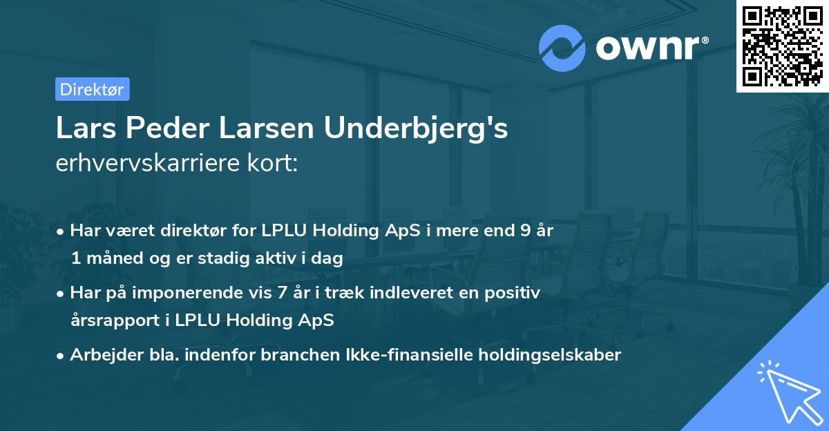 Lars Peder Larsen Underbjerg's erhvervskarriere kort