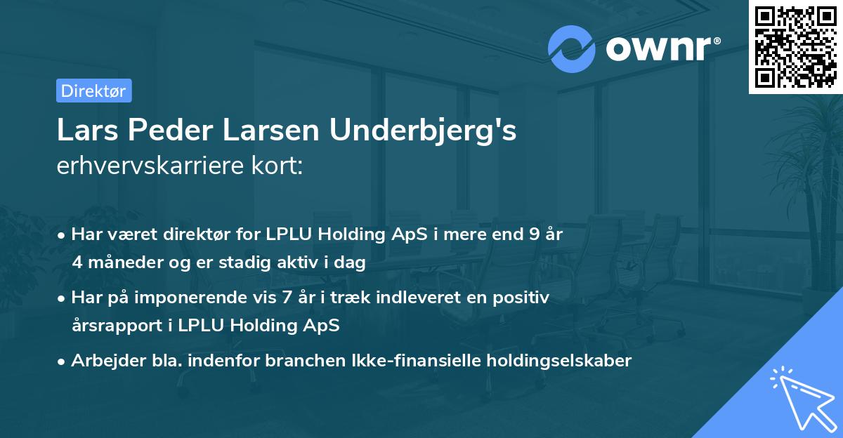 Lars Peder Larsen Underbjerg's erhvervskarriere kort