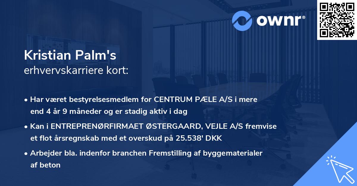 Kristian Palm's erhvervskarriere kort