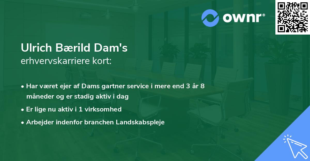 Ulrich Bærild Dam's erhvervskarriere kort