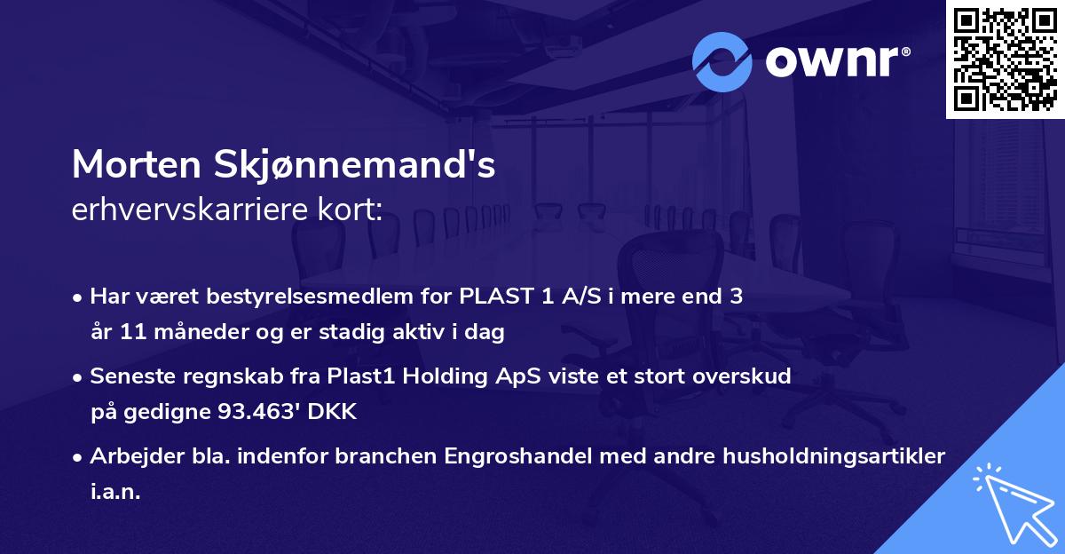 Morten Skjønnemand's erhvervskarriere kort