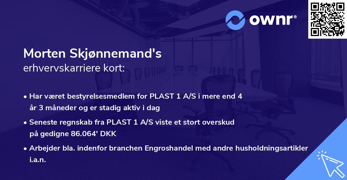 Morten Skjønnemand's erhvervskarriere kort