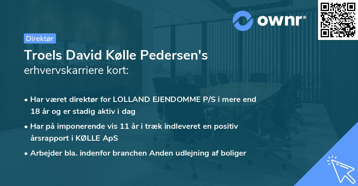 Troels David Kølle Pedersen's erhvervskarriere kort