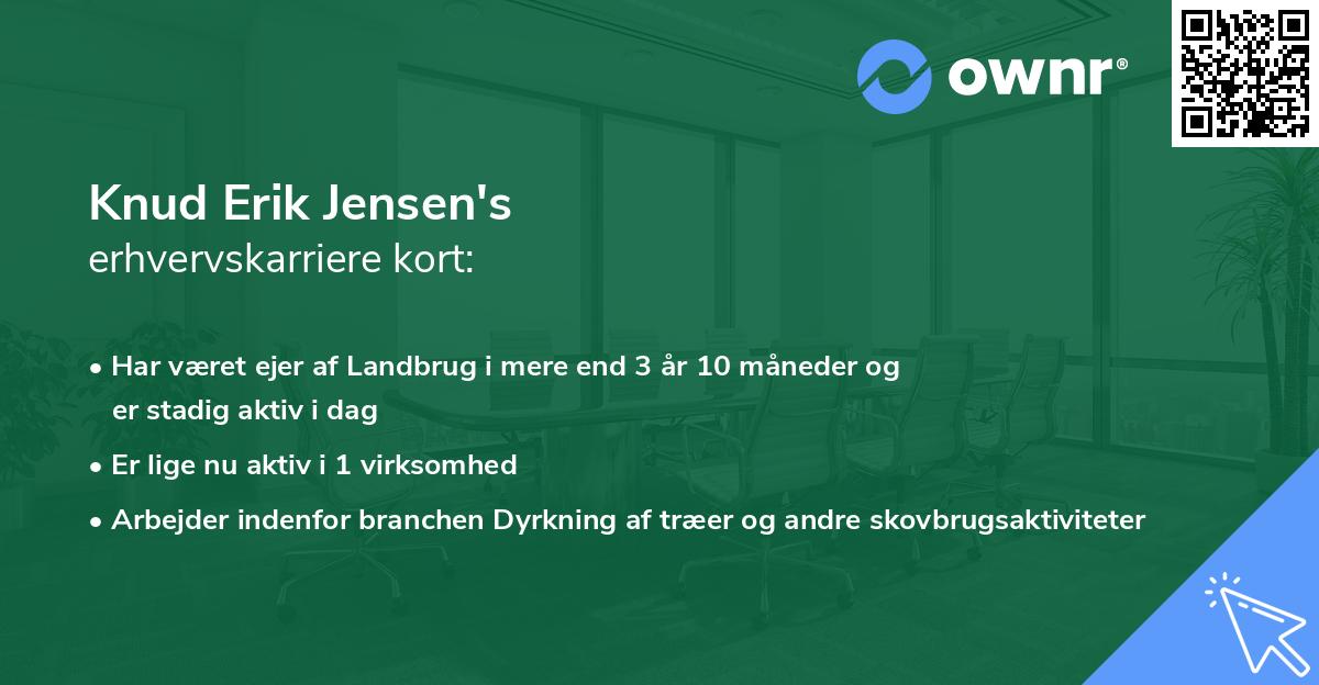 Knud Erik Jensen's erhvervskarriere kort