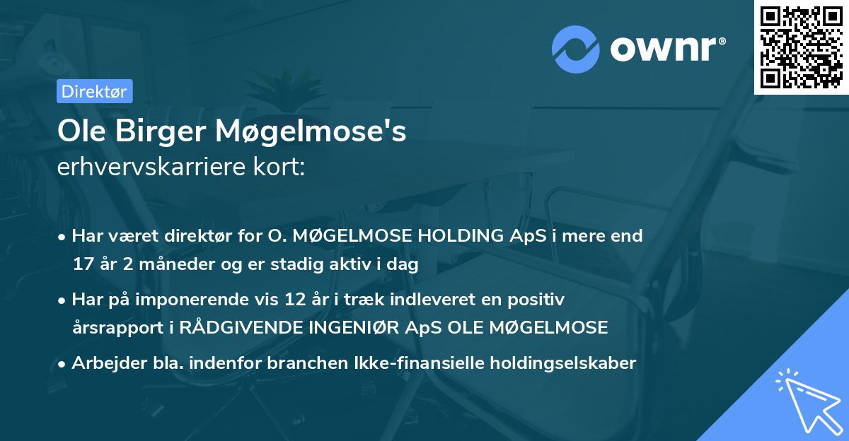 Ole Birger Møgelmose's erhvervskarriere kort