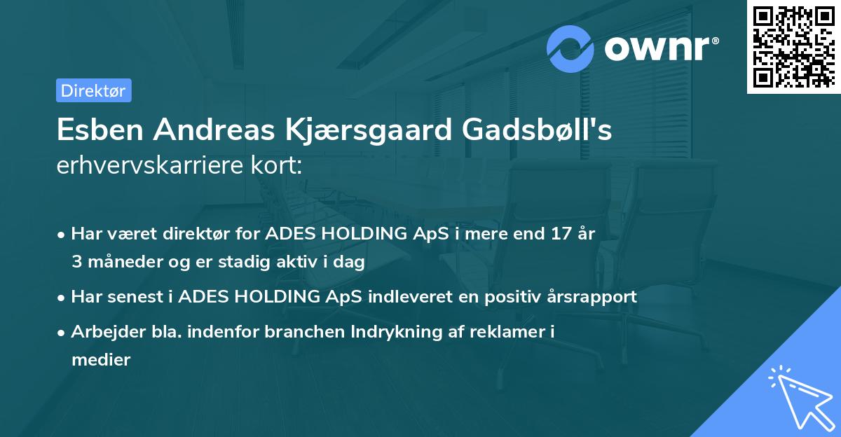 Esben Andreas Kjærsgaard Gadsbøll's erhvervskarriere kort