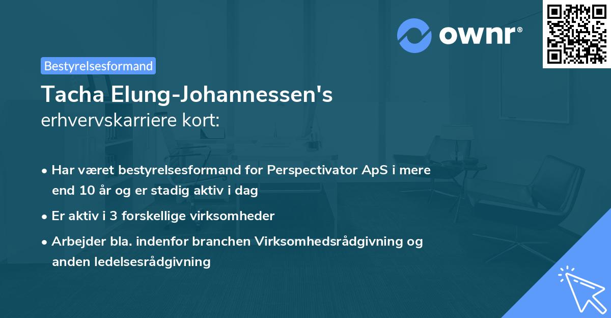 Tacha Elung-Johannessen's erhvervskarriere kort