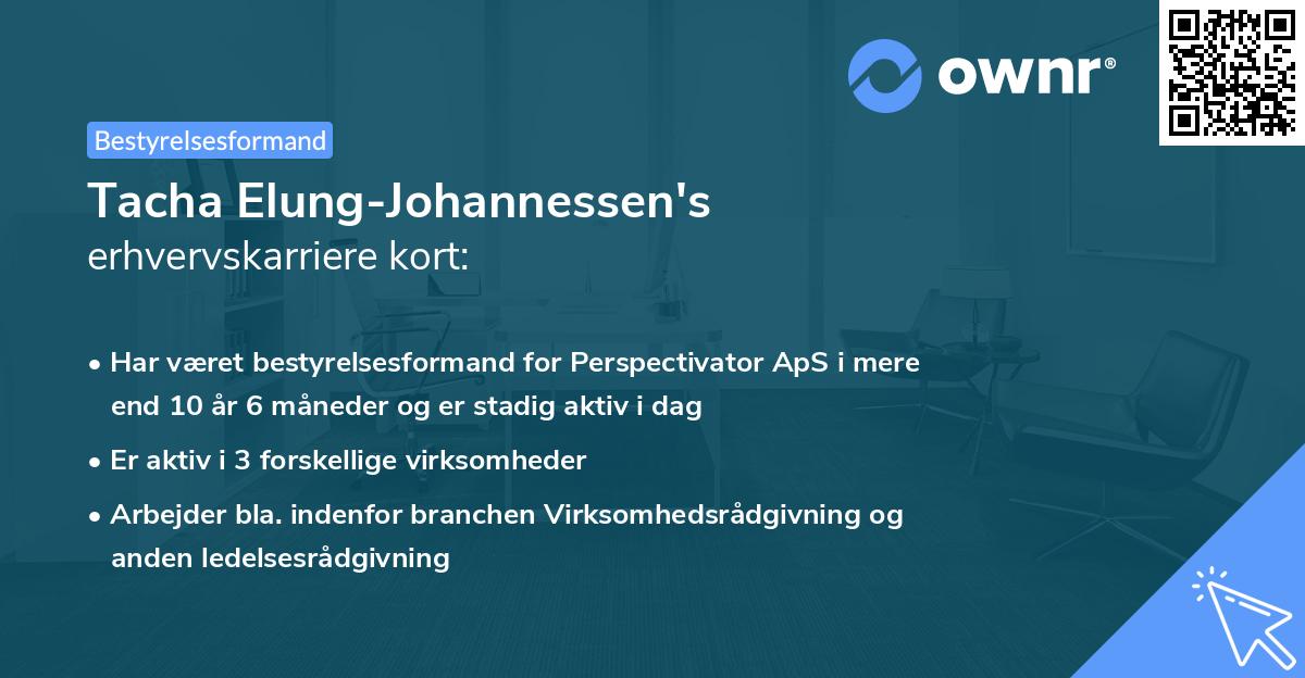 Tacha Elung-Johannessen's erhvervskarriere kort