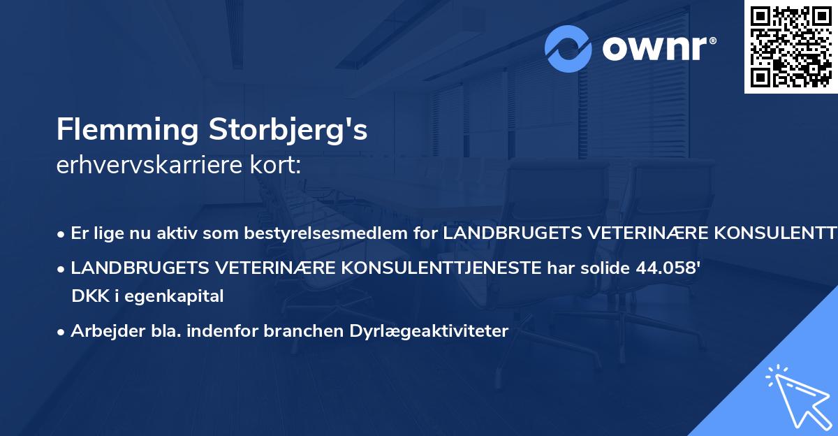 Flemming Storbjerg's erhvervskarriere kort