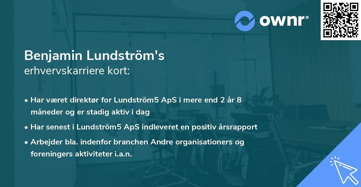 Benjamin Lundström's erhvervskarriere kort